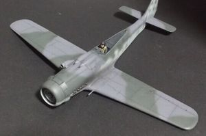 fw190d9_12.jpg