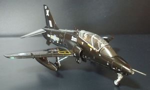 hawk_t1_1.jpg