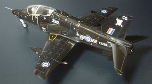 hawk_t1_2.jpg