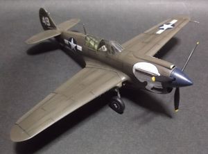 p40n_16.jpg