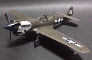 p40n_17.jpg
