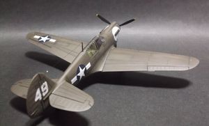 p40n_19.jpg