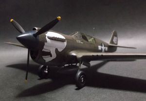 p40n_22.jpg
